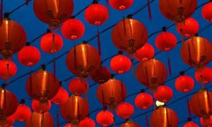 赢博体育官网入口：赢博体育app：2024年中国咖啡豆行业发展现状及发展趋势(图4)