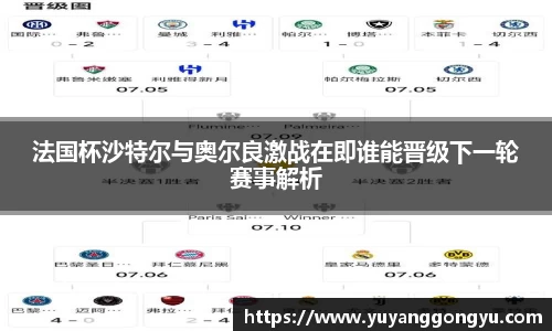 法国杯沙特尔与奥尔良激战在即谁能晋级下一轮赛事解析
