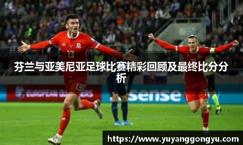 芬兰与亚美尼亚足球比赛精彩回顾及最终比分分析